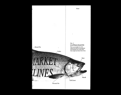 84 Marine Parade Wet Market Guideline Booklet
