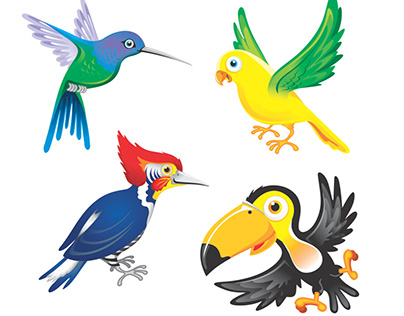 Ilustração pássaros - Pediatria Rios D'Or - RJ