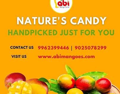 Popular Online Supplier of Fresh & High-Quality Mangoes