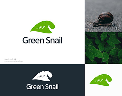 Green Snail Logo Design.