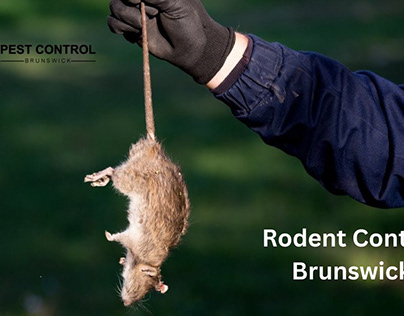 Rodent Control Brunswick