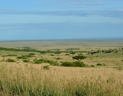 Landscape of Masaï Mara