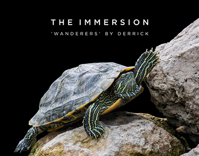 Terrapin Pond by Derrick, The Immersion: 'Wanderers'