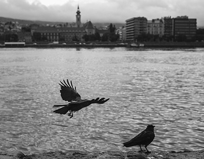 Budapest in black and white