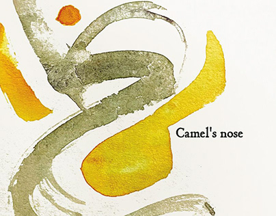 Project thumbnail - Camel's nose : Picture book