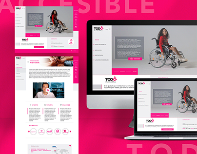 Diseño Sitio Web - Todo Accesible