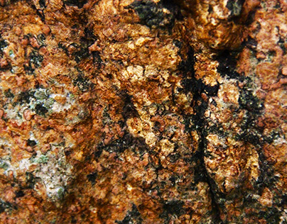 Photo Of Textured Tree Bark Background