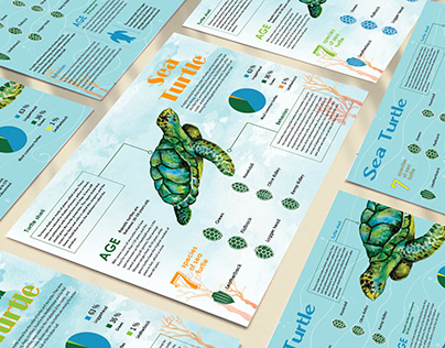 Sea Turtle Infographic Design