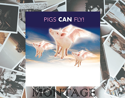 MONTAGE-PIGS CAN FLY
