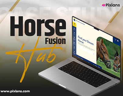 Horses Website - Case Study