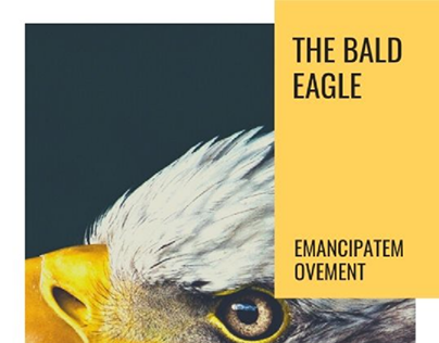 the bald eagle