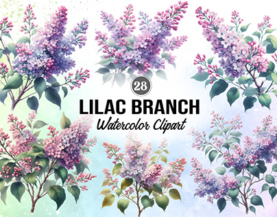Lilac Branch Watercolor Clipart
