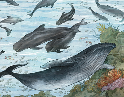 Illustration for Current Conservation Issue 16.2