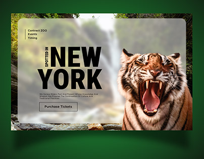 Zoo Website UI Design