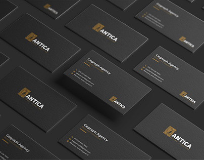 ANTICA | branding & UI UX