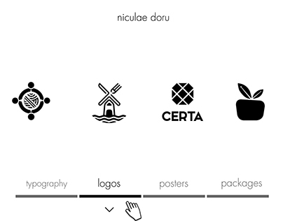 Online Portfolio Design "niculae doru"