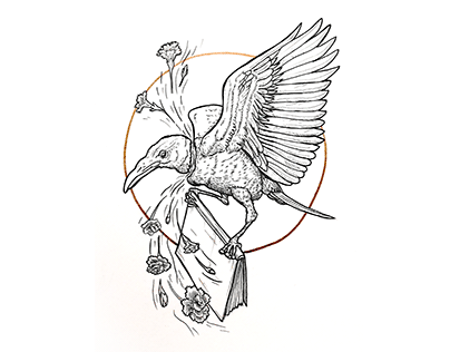 White raven - personal drawning