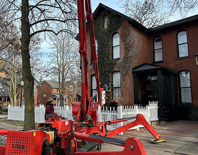 Tree Removal Services in Syracuse, NY