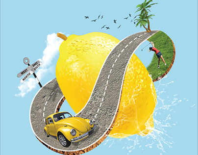 Lemon. Volkswagen Advert Design