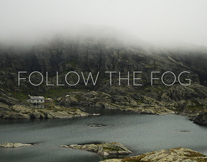 Follow the fog