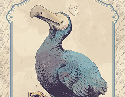 Dodo - illustration and print