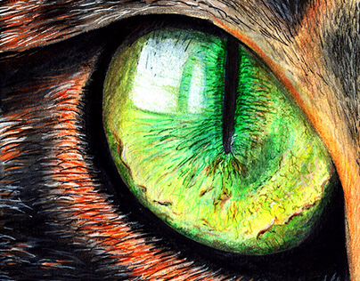 Watercolor cat eye