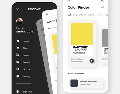 PANTONE 2021 App Concept Design