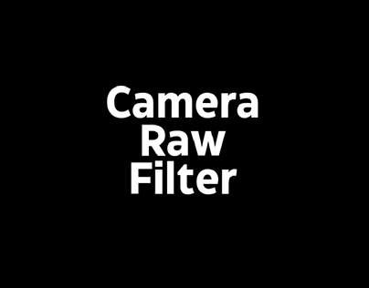 camera Raw filter ( colour correction )