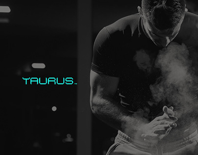 Project thumbnail - Taurus - Beyond You