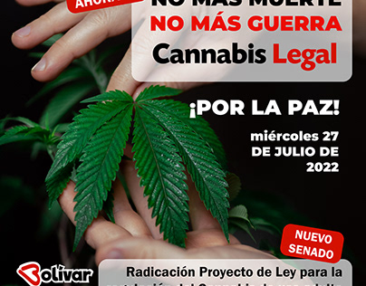 Debate de control Legalización de la Cannabis