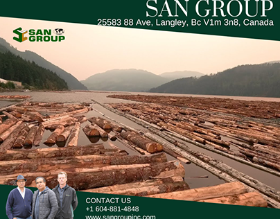 Canadian Lumber Company