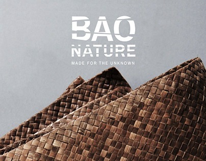 BAO Nature (2016)