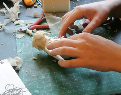 Making of 'Flyed Mind' film and Fly Puppet