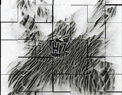 H7 (2020)
