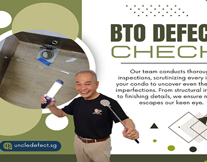 BTO Defect Check Inspector