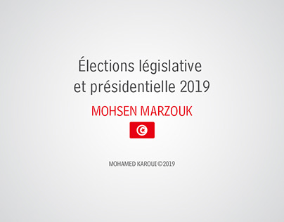 Élections législative et présidentielle 2019