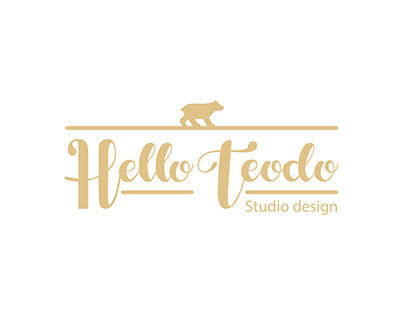 Hello Teodo Studio