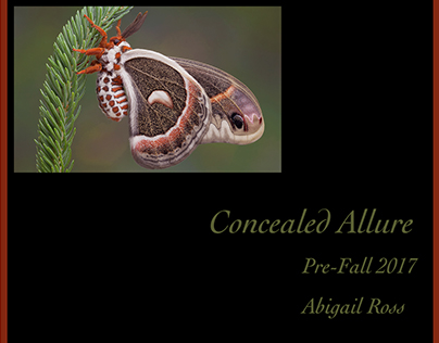 Concealed Allure Collection