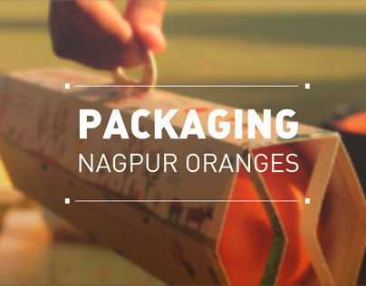Packaging | Nagpur Oranges
