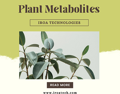 Detailed Plant Metabolites Analysis