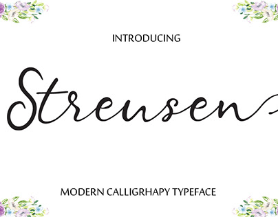 Stereusen modern script font