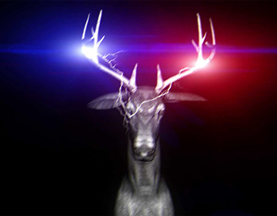 VJ Loops Pack Vol.40 – Neons Deer