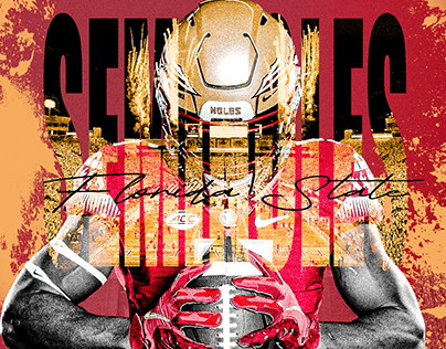 seminoles sports graphic