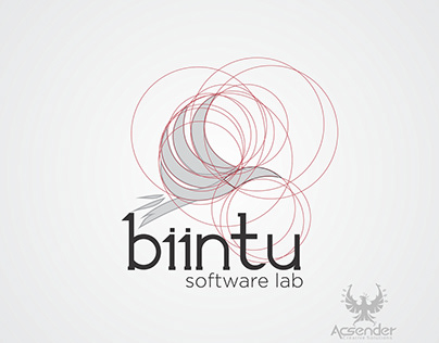 Biintu Software Lab