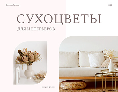 Dried flowers for interior e-commerce