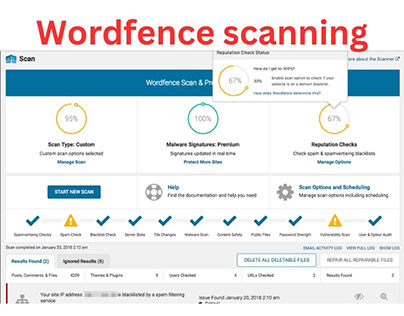 Wordpress malware scanning