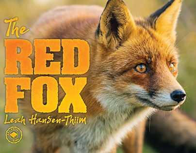 Project thumbnail - The Red Fox