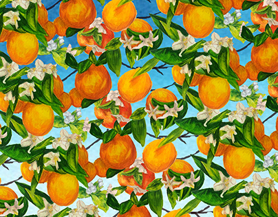 Orange Tree Blossoms
