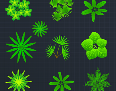 Tree and Palm cad block free