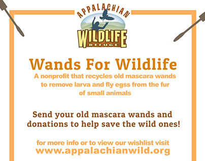 Wands for Wildlife // Awareness Poster